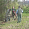 S�zen� stromk� 10.4.2010