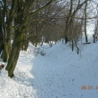 zima 2010