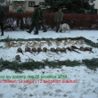 hon 26.12.2010