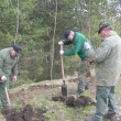 S�zen� stromk� 10.4.2010
