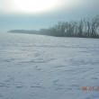 zima 2010