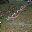 vad 14.11.2009